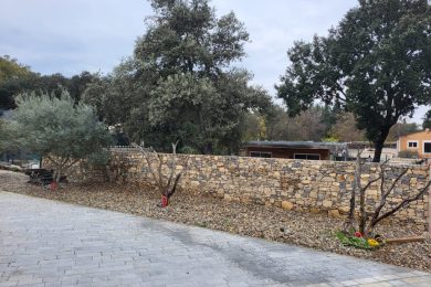 Murs, murets & clôtures